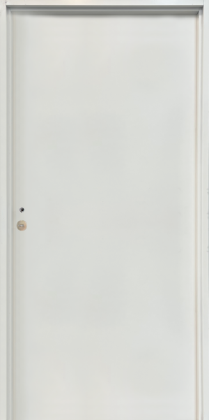 Puerta cortafuego FR30